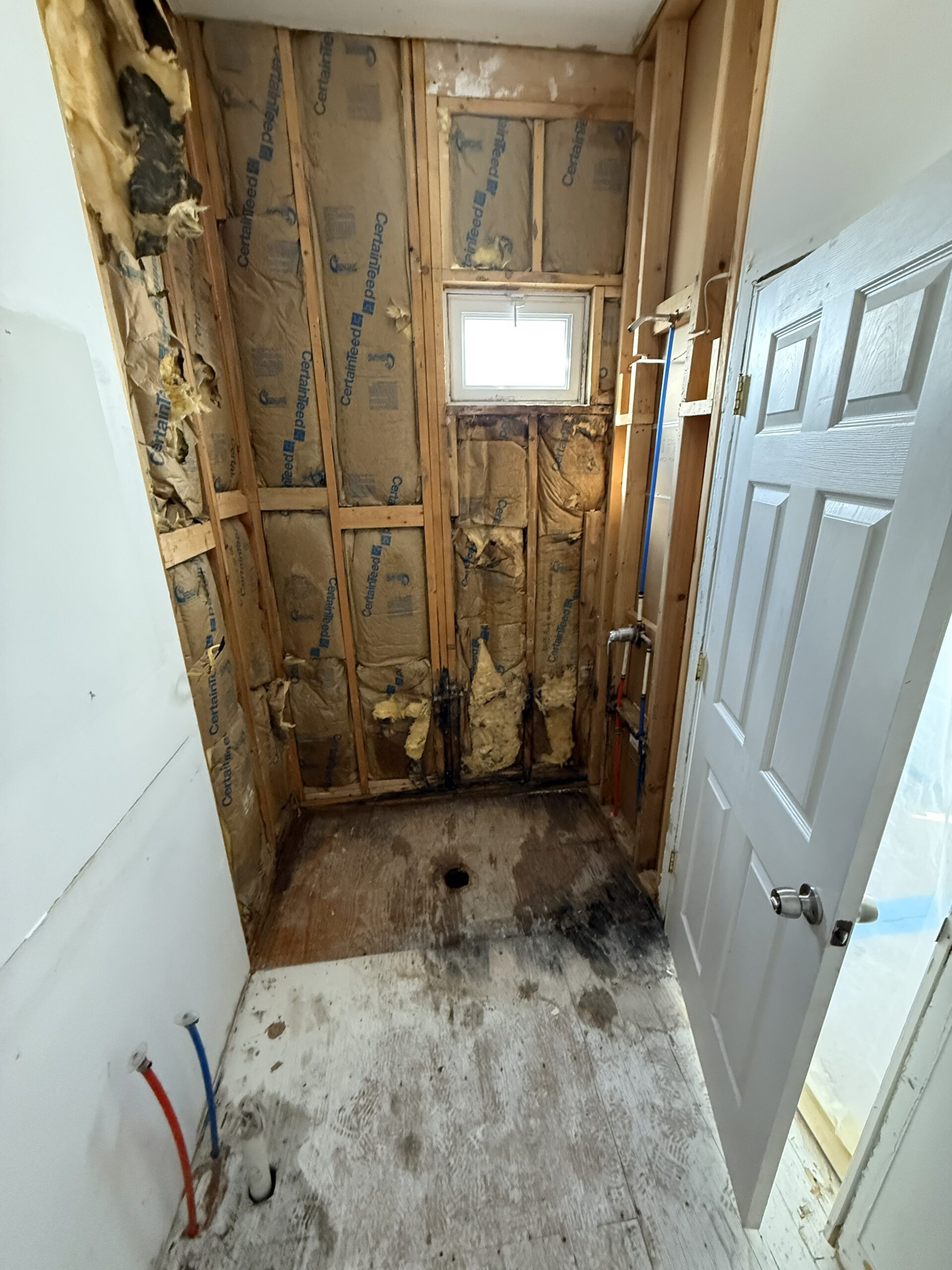 42469D56-6FC5-4D5D-ADAD-3C2044B0E78D